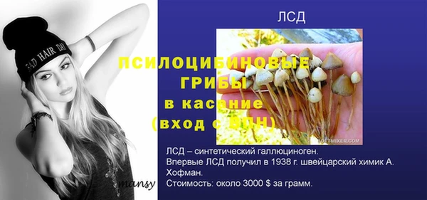 ГАЛЛЮЦИНОГЕННЫЕ ГРИБЫ Михайловск