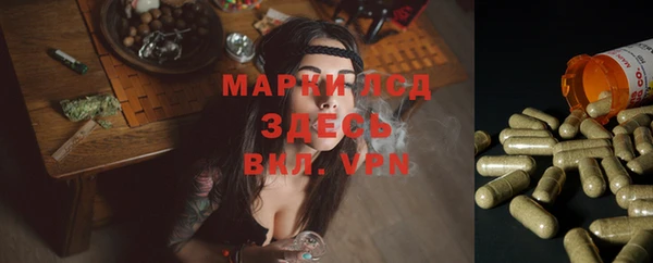 ГАЛЛЮЦИНОГЕННЫЕ ГРИБЫ Михайловск