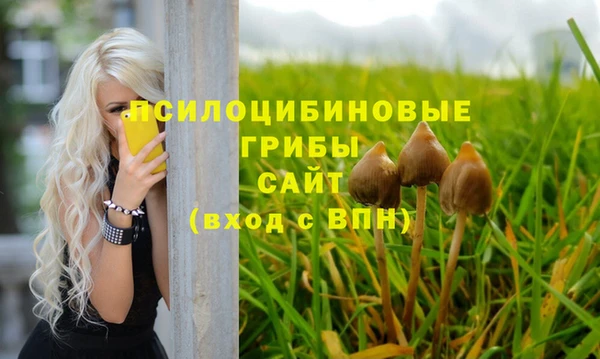 ГАЛЛЮЦИНОГЕННЫЕ ГРИБЫ Михайловск